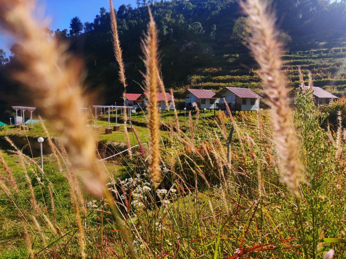 The Hillside Cottages كاناتال المظهر الخارجي الصورة